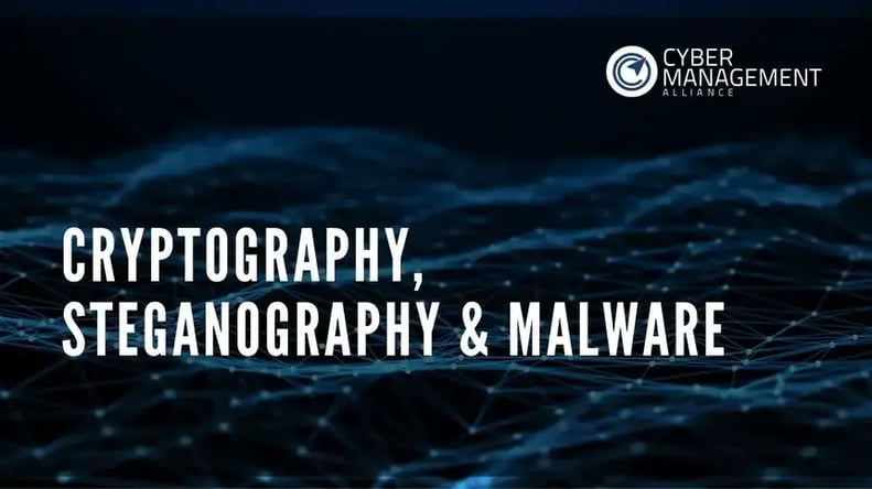 cryptography, steganography & malware